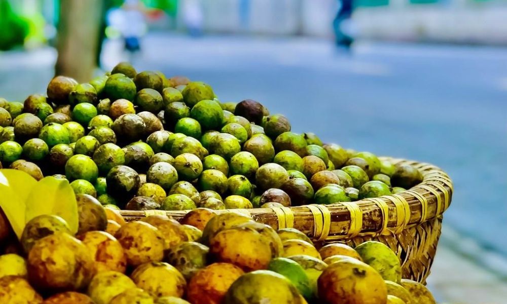 hanoi-autumn-food-guide